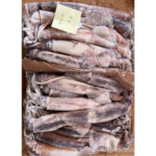 China Frozen Illex Argentinus Whole Round Squid 300-400g Factory